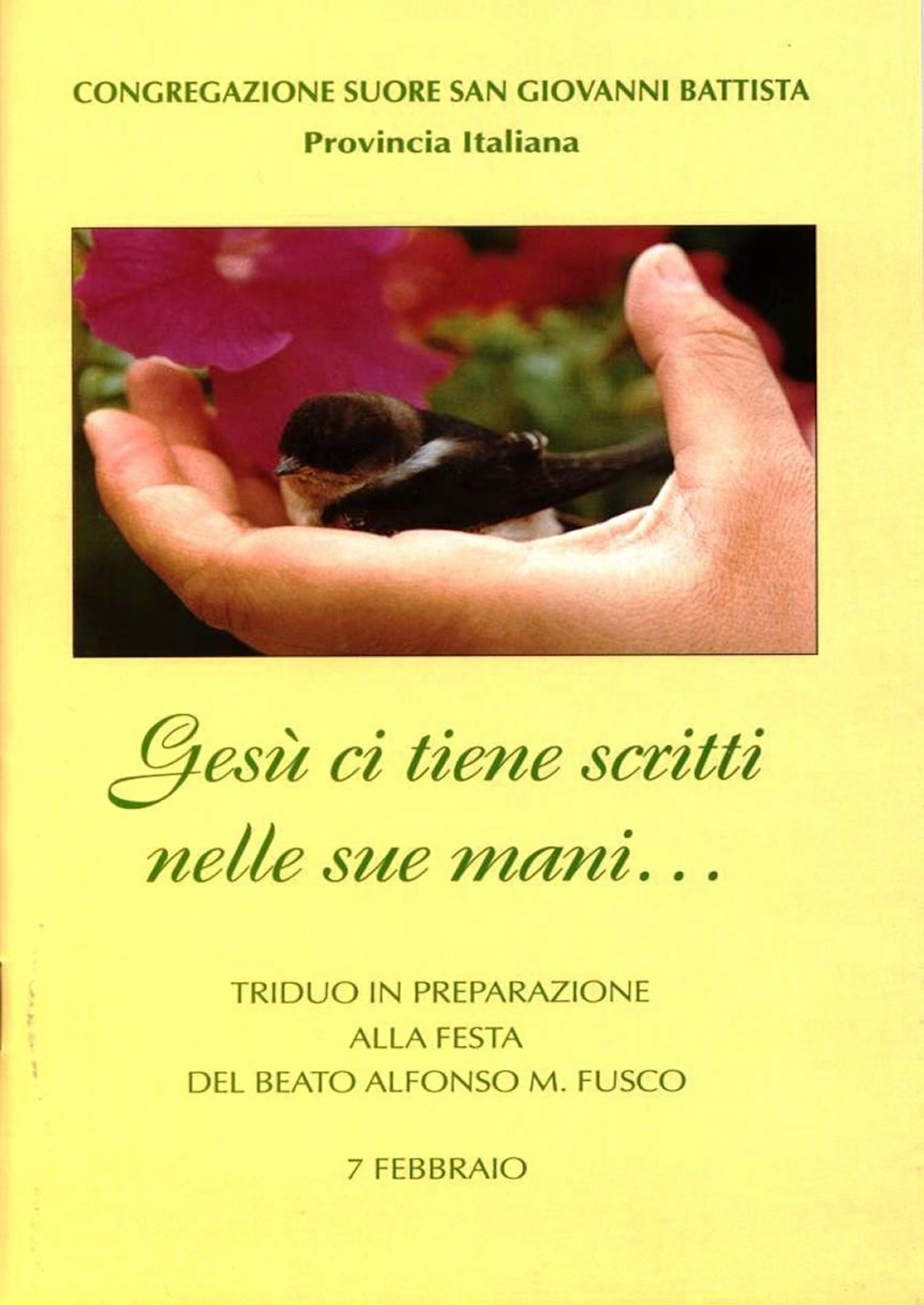 /site/<h6>Roma%202002</h6>